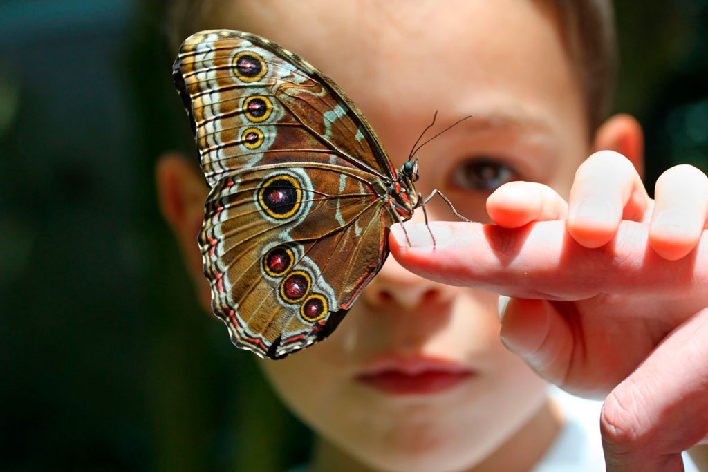 Ciencia-y-nataruleza Ciencia y naturaleza