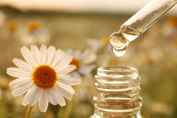 fitoterapia natural
